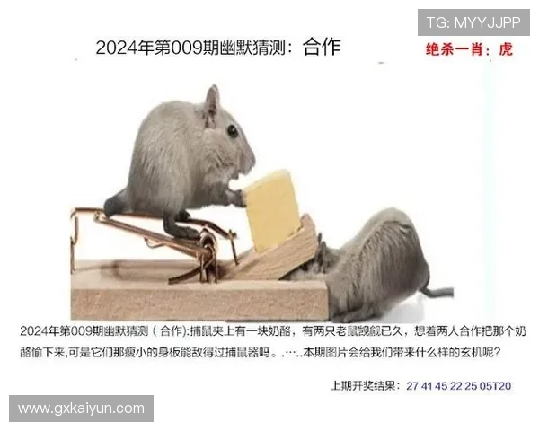 2025年澳门今晚开奖结果最新动态与分析